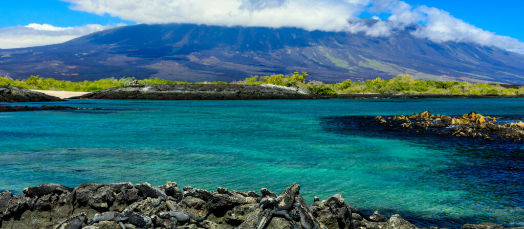 galapagos islands travel