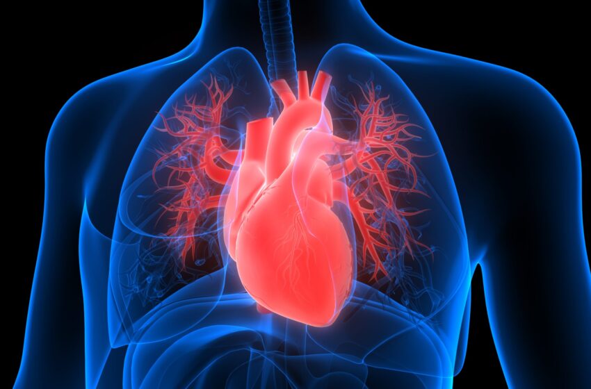 Understanding Congestive Heart Failure